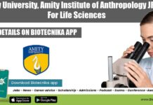 Amity JRF Job 2022