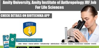 Amity JRF Job 2022