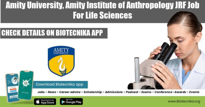 Amity JRF Job 2022