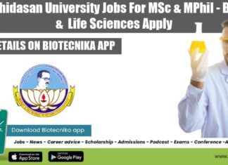 Bharathidasan University Jobs For