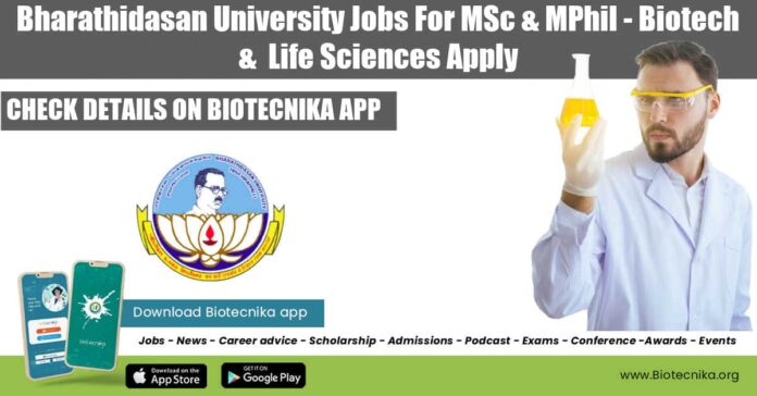 Bharathidasan University Jobs For