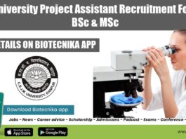 CSJM University Project Assistant
