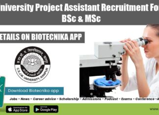 CSJM University Project Assistant