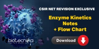 CSIR Enzyme Kinetics Notes