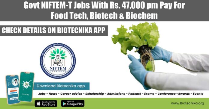 Govt NIFTEM-T Jobs