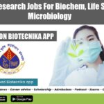 ICAR-IARI Research Jobs For Biochem, Life Sciences & Microbiology ICAR-IARI Research Jobs For
