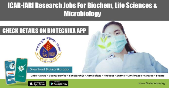 ICAR-IARI Research Jobs For