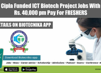 ICT Freshers Project Jobs