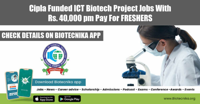 ICT Freshers Project Jobs