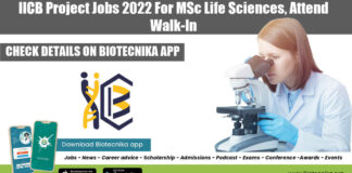 IICB Project Jobs 2022