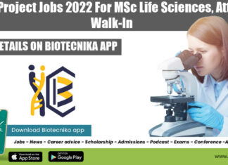 IICB Project Jobs 2022
