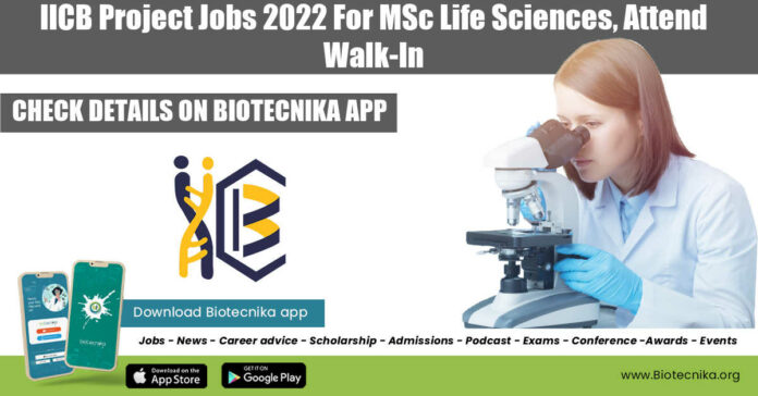 IICB Project Jobs 2022