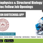 IIT Kanpur Postdoc Jobs