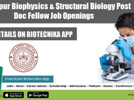 IIT Kanpur Postdoc Jobs
