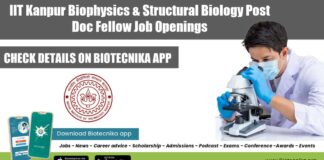 IIT Kanpur Postdoc Jobs