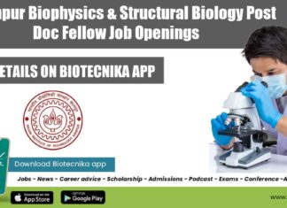 IIT Kanpur Postdoc Jobs