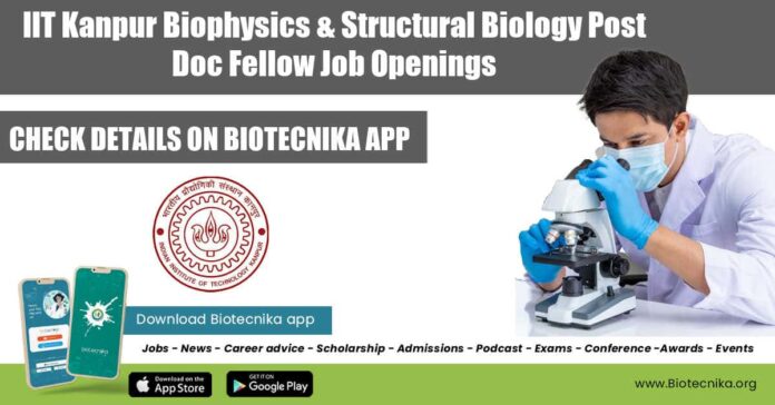 IIT Kanpur Postdoc Jobs