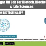 IIT Gandhinagar JRF Job For Biotech, Biochem, Cell Bio & Life Sciences IITM JRF Jobs 2022