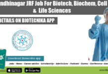 IIT Gandhinagar JRF Job For Biotech, Biochem, Cell Bio & Life Sciences IITM JRF Jobs 2022