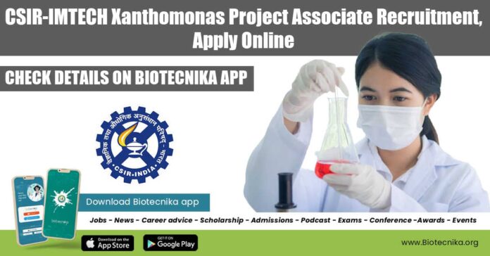 IMTECH Vacancy For Project