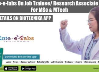 Inte-e-labs Trainee Job Opening