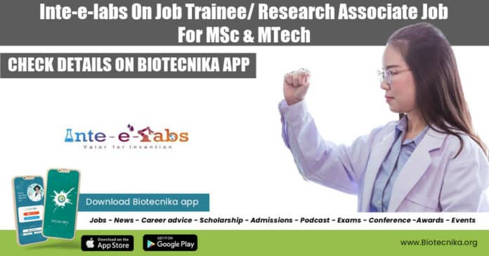 Inte-e-labs Trainee Job Opening