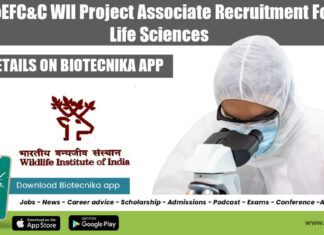 MoEFC&C WII Project Associate
