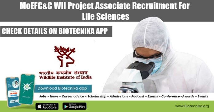 MoEFC&C WII Project Associate