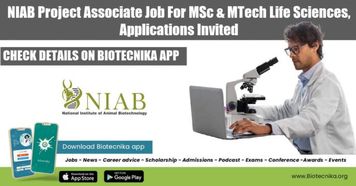 NIAB Project 2022