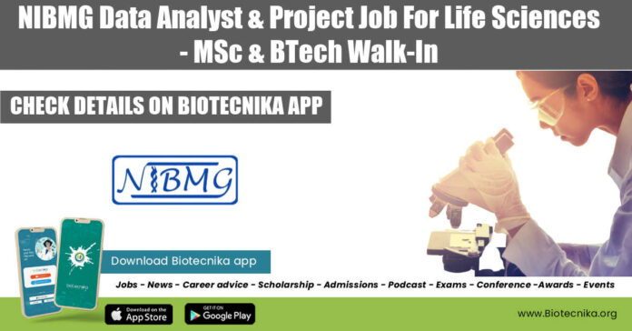 NIBMG Data Analyst