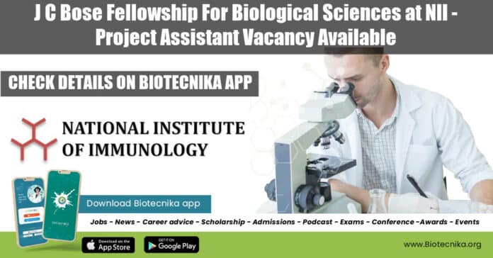 NII Job For BSc
