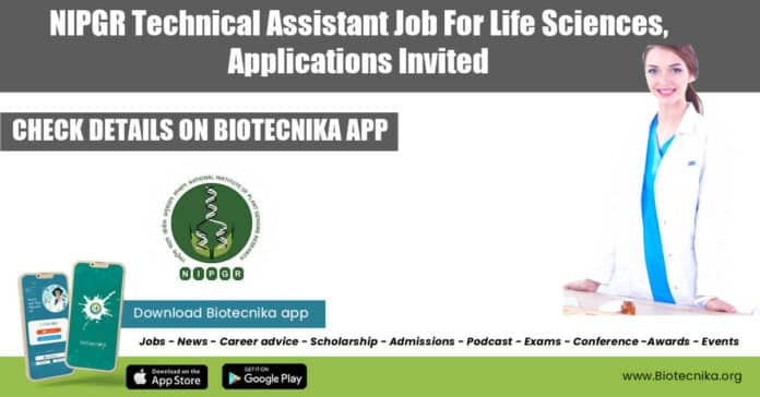 NIPGR Technical Assistant Job