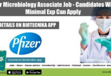 Pfizer Microbiology Associate Job – Candidates With Minimal Exp Can Apply Pfizer Microbiology Associate Job