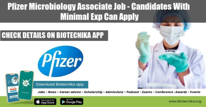 Pfizer Microbiology Associate Job