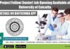 Project Fellow Job at Calcutta