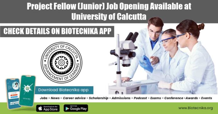 Project Fellow Job at Calcutta