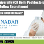 SNU Postdoctoral Fellow Job