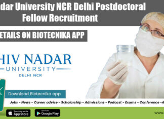 SNU Postdoctoral Fellow Job