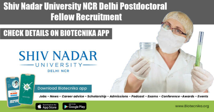 SNU Postdoctoral Fellow Job