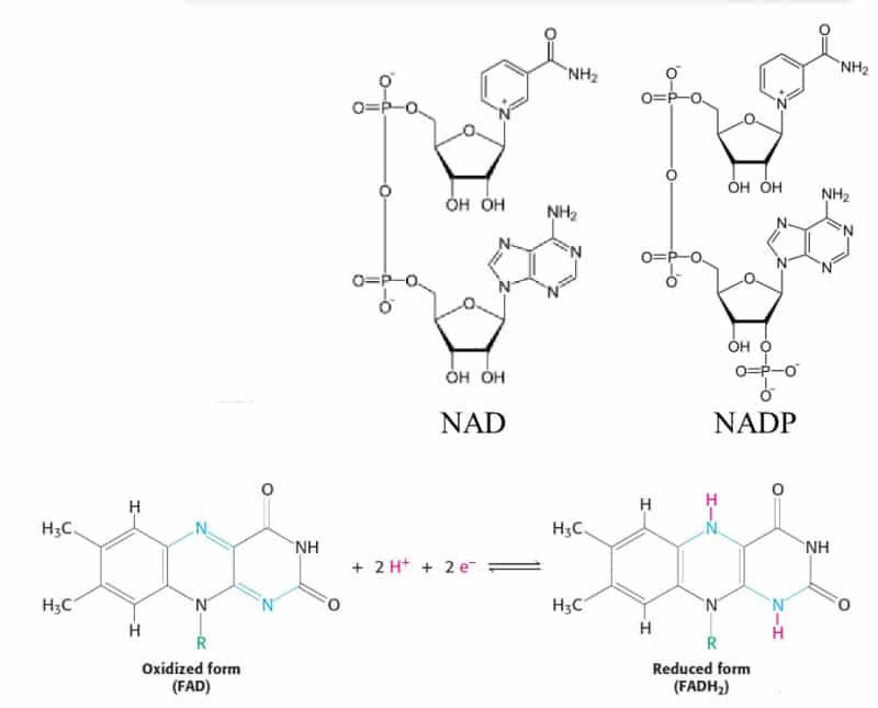 CSIR UNIT 6 Notes