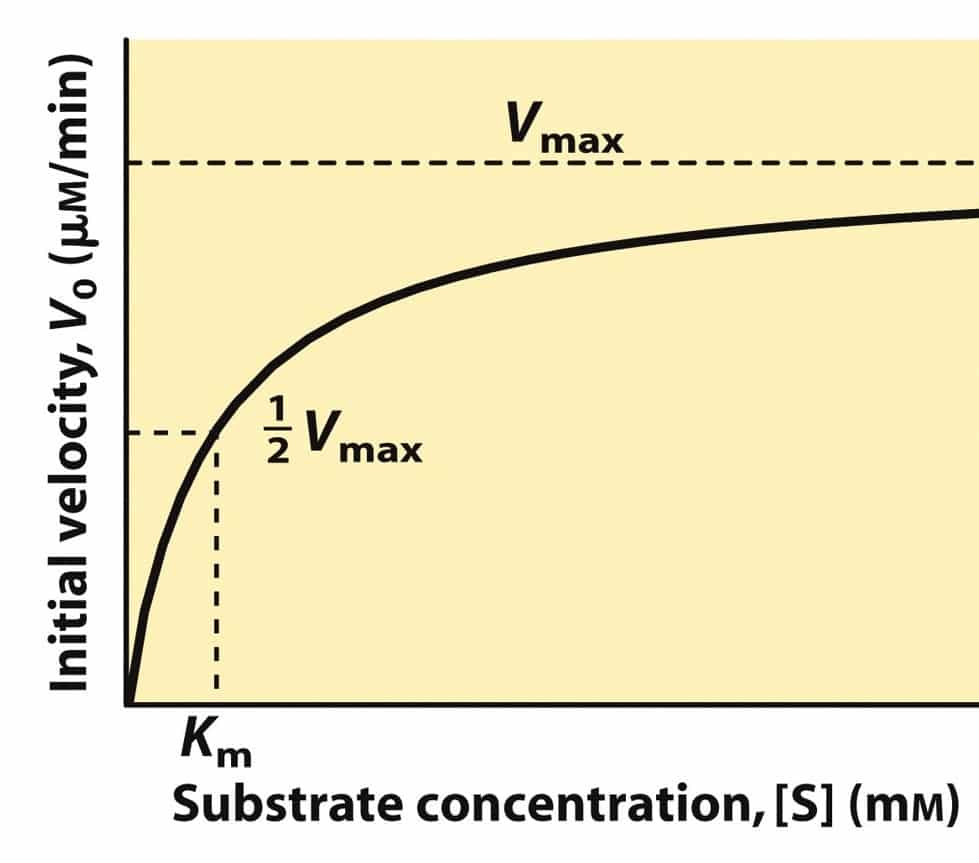 CSIR Enzyme Kinetics Notes