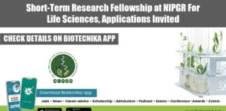 Short-Term Research Fellowship