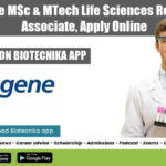 Syngene MSc & MTech Life Sciences Research Associate, Apply Online Syngene Jobs Latest