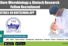 VIT Vellore Microbiology & Biotech Research Fellow Recruitment VIT Vellore Vacancy