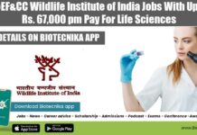 MoEF&CC Wildlife Institute of India Jobs With Up To Rs. 67,000 pm Pay For Life Sciences WII Research Jobs