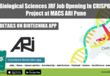 MSc Biological Sciences JRF Job Opening In CRISPR-Cas9 Project at MACS ARI Pune ARI Pune Biological Sciences