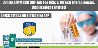 Amity Job 2022