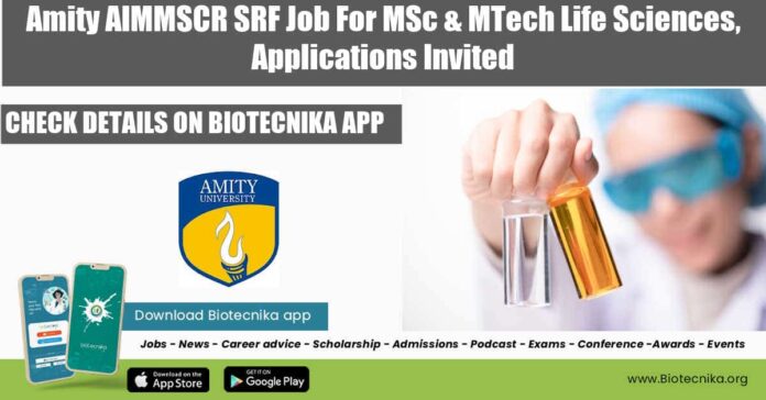 Amity Job 2022