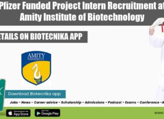 Amity University Project Intern