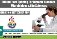 BHU JRF Post Opening For Biotech, Biochem, Microbiology & Life Sciences BHU Vacancy For JRF
